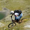 alpinum