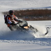 coltybear15