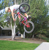 jprbmxer93