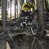 royalride77
