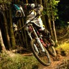 dh--tom1