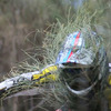 andrew622