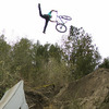 reecewallace