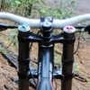 norcalfoxshoxshredder