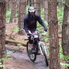 ShelbyD