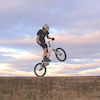 donaldrodgers