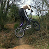 shane1005