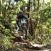 downhill401783