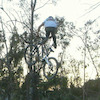 jackoridesbmx