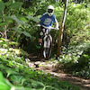 moulton15