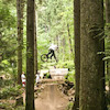 trevorsiebert