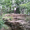 THESUMMIT