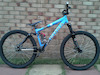 pl155cm