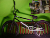 Jakeman101