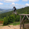 pfelden