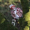 Trailculture