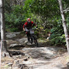 downhillguru