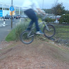 greigsy
