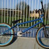 tomw2009