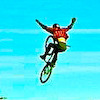 austincampell