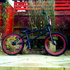holden-biking