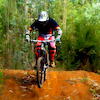 martim43