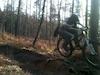dave259