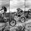 tpollenphotography
