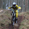 Stuartg295
