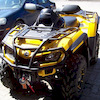 wtpcrysis1996