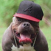 Mikemoser82