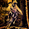 freerideglory