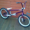 chiz99lambton