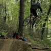 BonjahDHrider
