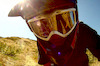 shane444