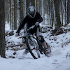 Stuartg295