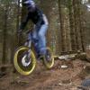 DirtDevilz