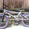 DaveRidesBMX