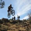 birddownhill