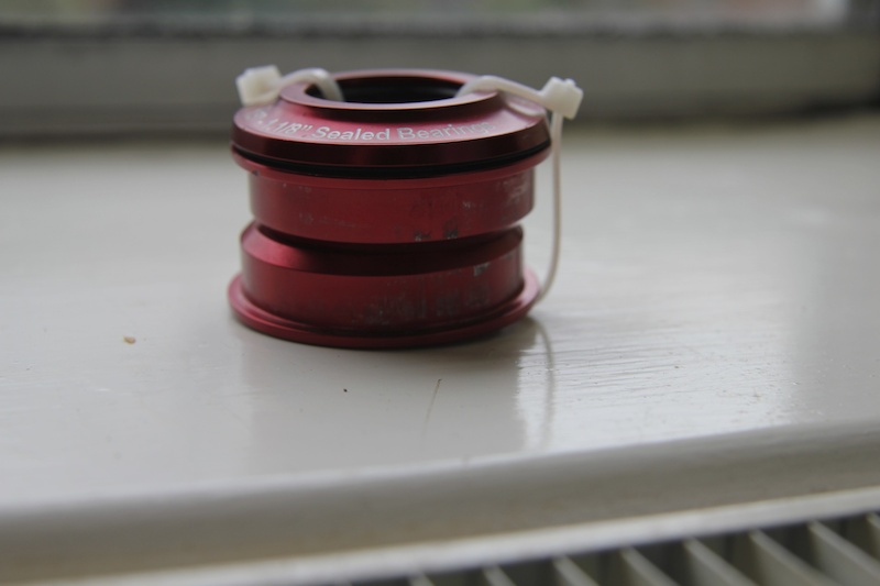 p4pb8019547.jpg